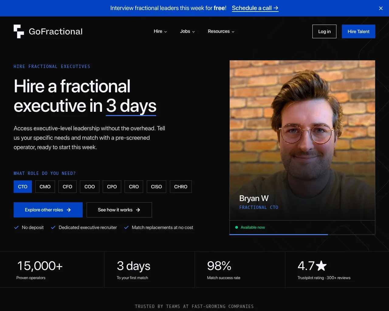 Screenshot of the Go Fractional website homepage